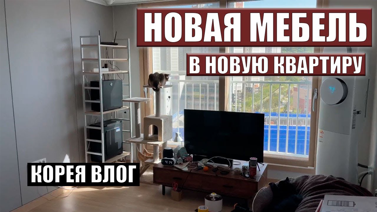 Предпоследний влог про обустройство нашей квартиры в Корее Корея влог