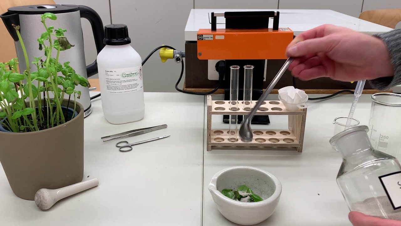 Extraktion von Chlorophyll und Demonstration der Chlorophyllfluoreszenz