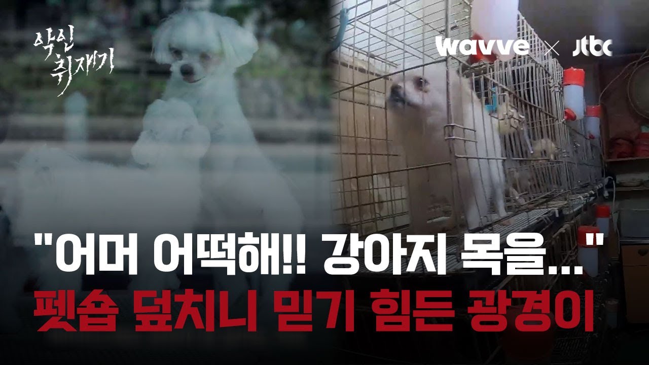 이 사실을 알면 