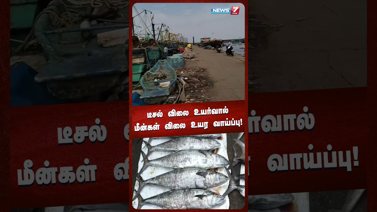 டீசல் விலை உயர்வால் மீன்கள் விலை உயர வாய்ப்பு! | NEWS7 TAMIL
