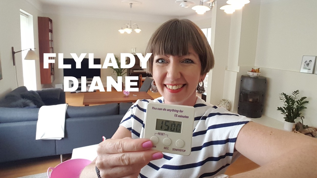Flylady Zones 5 (living room) and 1 (dining room/entry) - May/June 2017