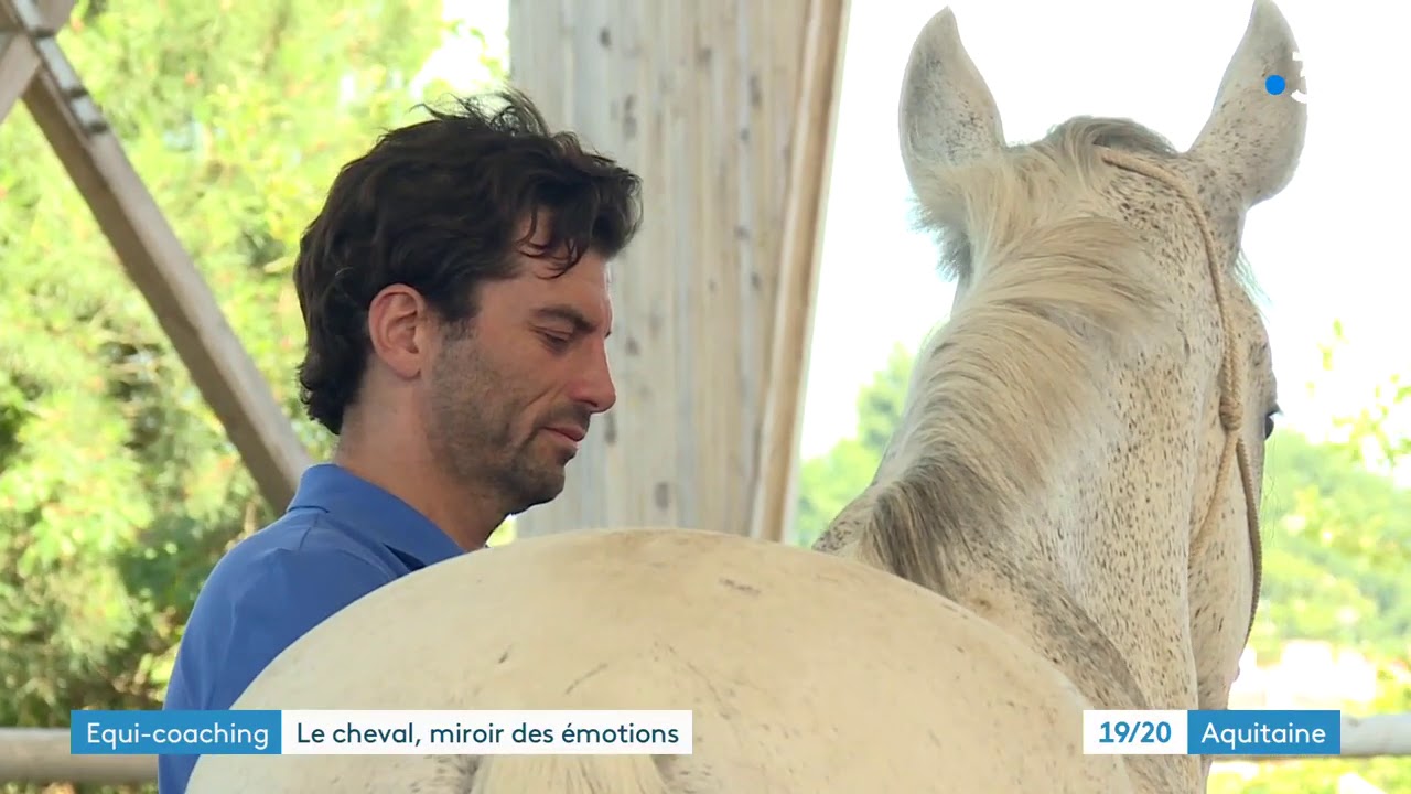 L'équi-coaching : la thérapie par les chevaux