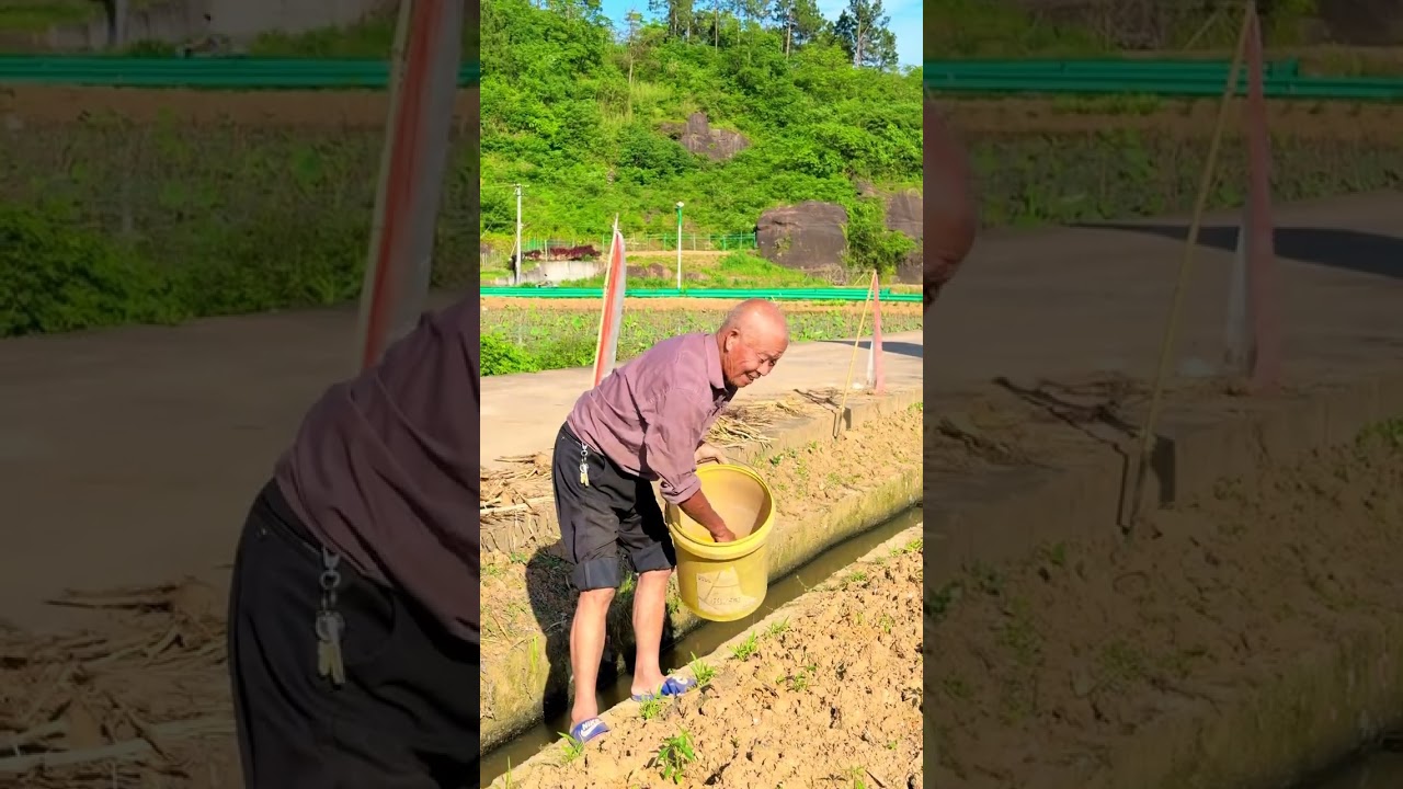 Приветствую каждого выдающегося труженика! #Моя сельская жизнь #Международный день трудящихся #Ра...