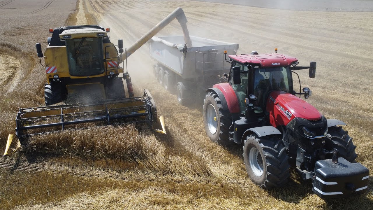 ŻNIWA 2025!/ NEW HOLLAND TC 5070 & CASE PUMA 200