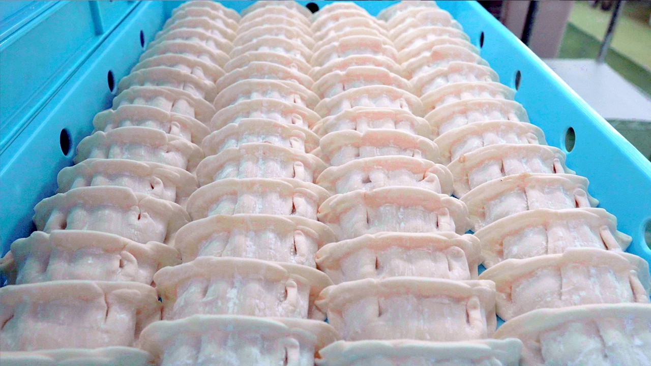 20,000 Dumplings a Day! Super Gyoza, Dumpling, Potsticker machine!