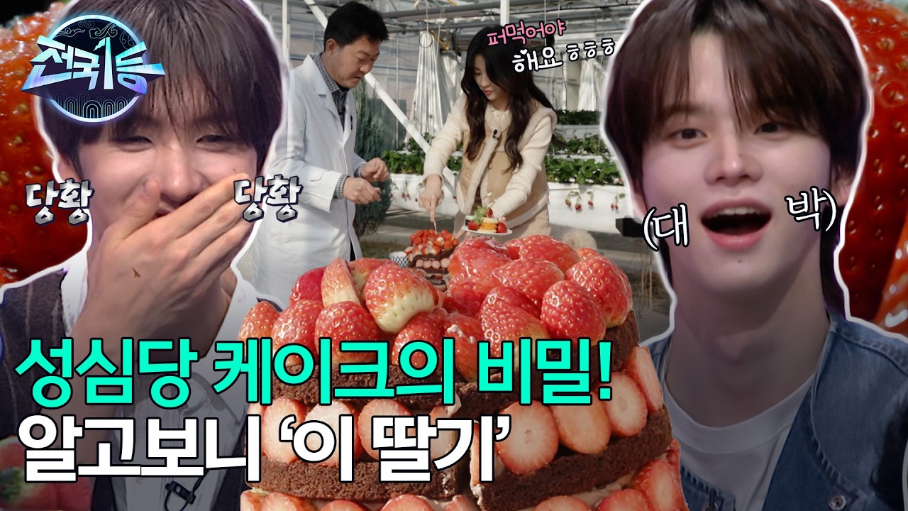 [전국1등] 논산 딸기로 만든 딸기 시루, 논산의 설향과 킹스 베리의 맛은?, MBC 260223 방송