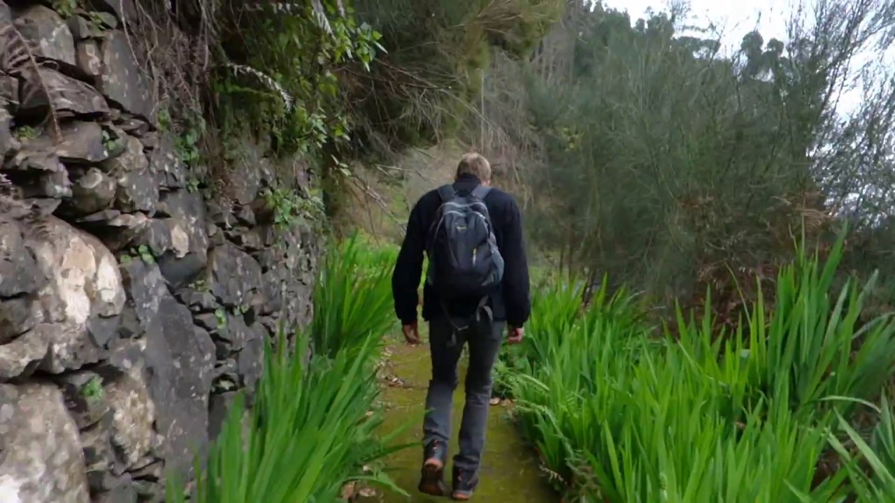 LEVADA SERRA / Santo da Serra - Camacha