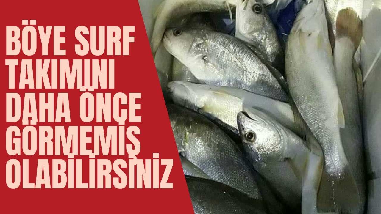 BÖYLE SURFF OLTA TAKIMINI DAHA ÖNCE GÖRMEMİŞ OLABİLİRSİNİZ