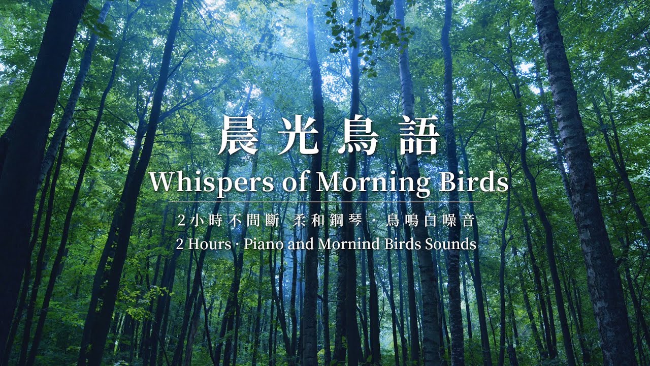 【柔和鋼琴與清晨鳥鳴】2小時柔和鋼琴 | 2-Hour Dawn Birds & Soft Piano for Relaxation |
