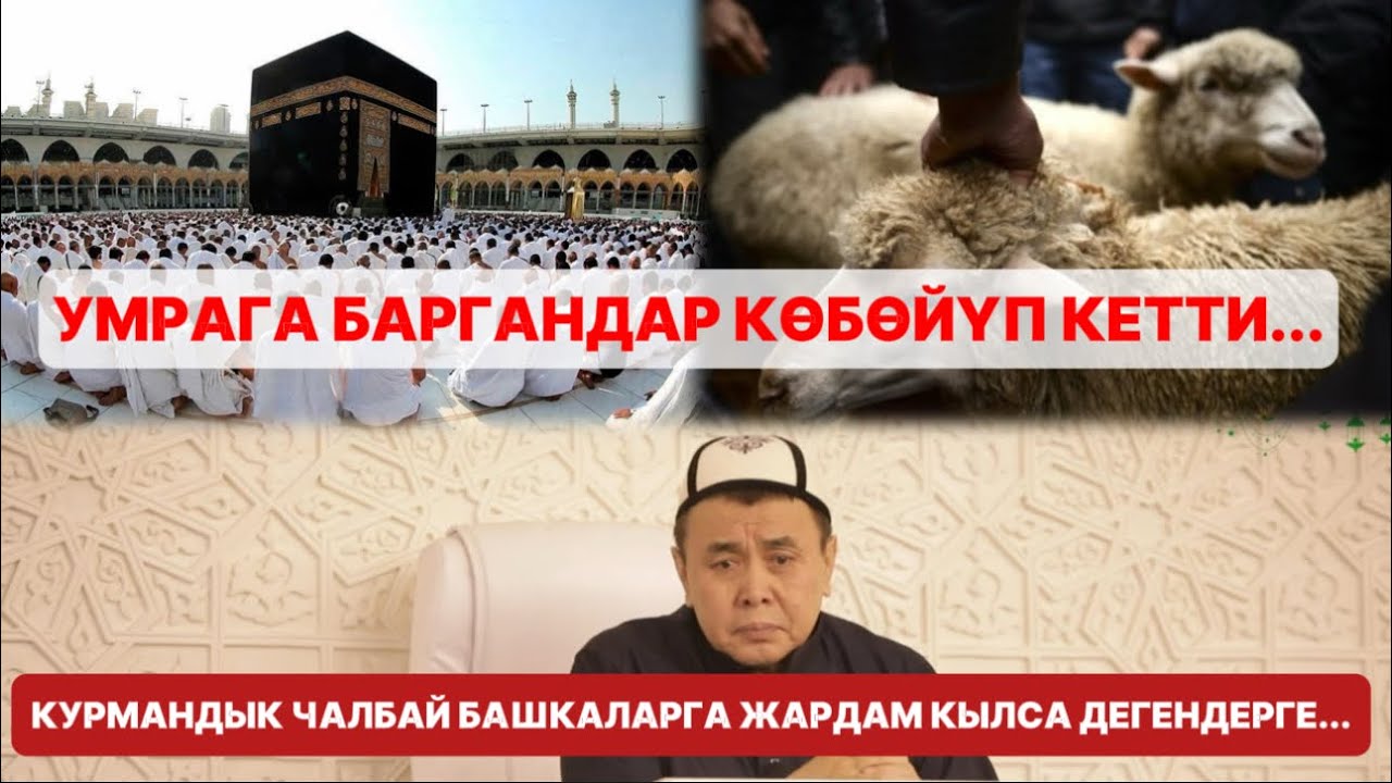 Умрага баргандар көбөйүп кетти. Курмандык чалбай башкаларга жардам кылса дегендерге..Абдишүкүр устаз
