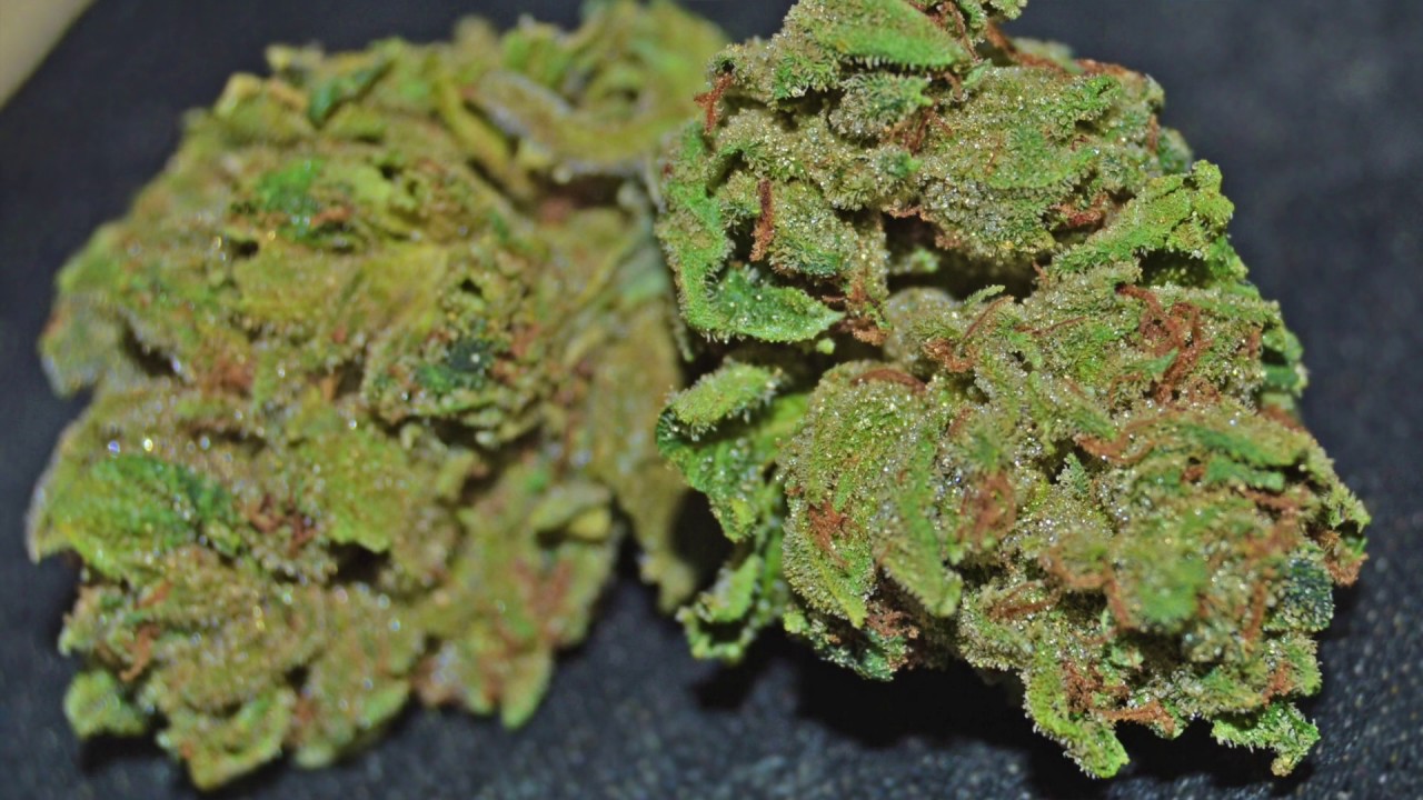Kosher Kush Strain Information / Review