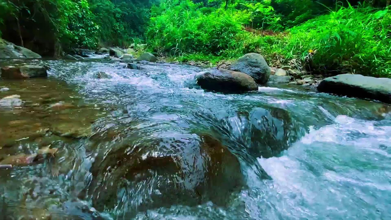 ЛУЧШИЙ ЗВУК ДЛЯ СНА 💦 Бурная река среди густого тропического леса