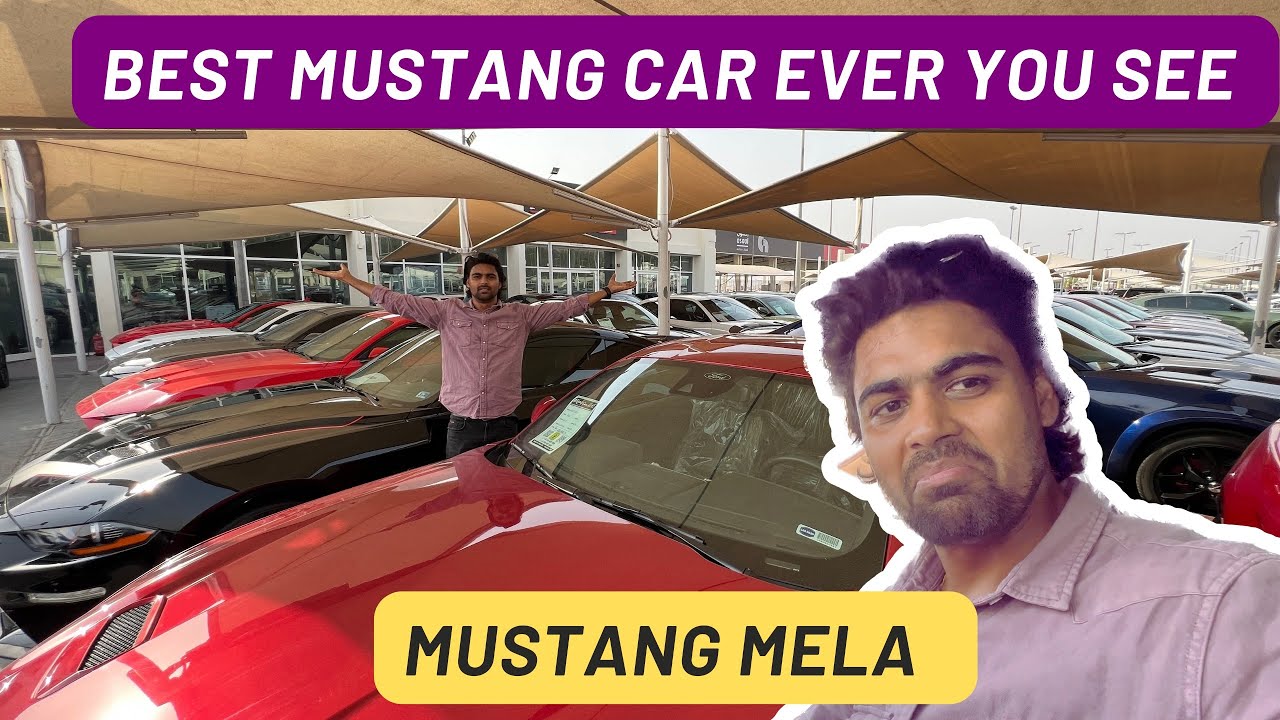 second hand Mustang car in Dubai , Sharjah price and details