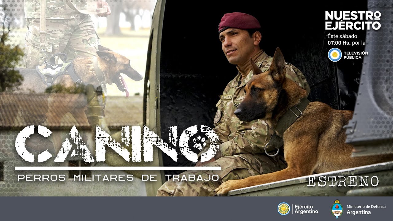 Programa Nuestro Ejército - Canino, perros militares de trabajo