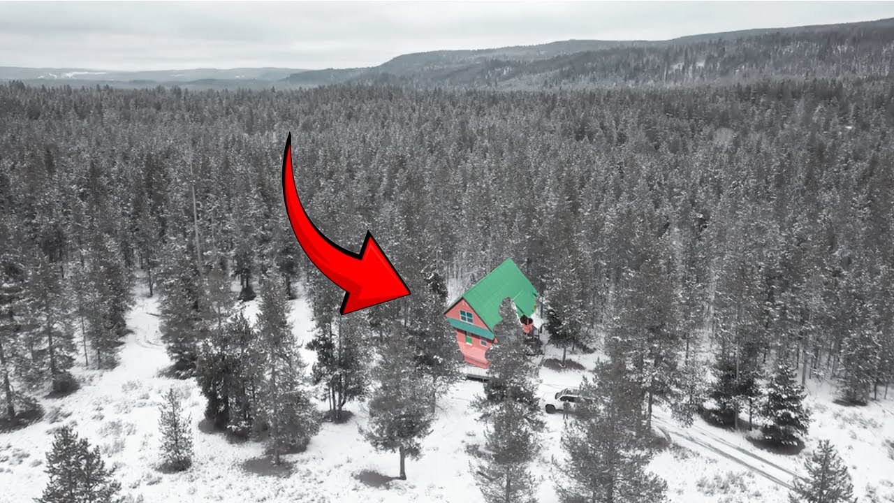 Я купил домик в глуши, чтобы сдавать его через Airbnb.