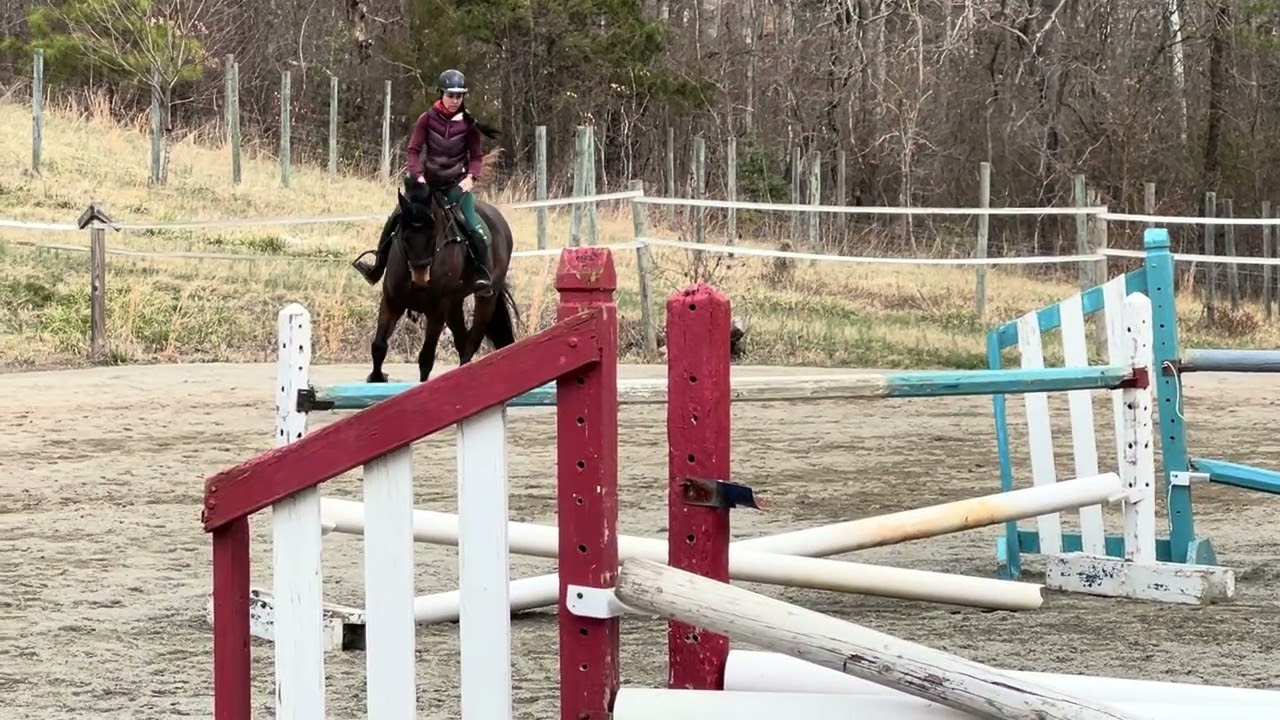 Seller rides Teddy