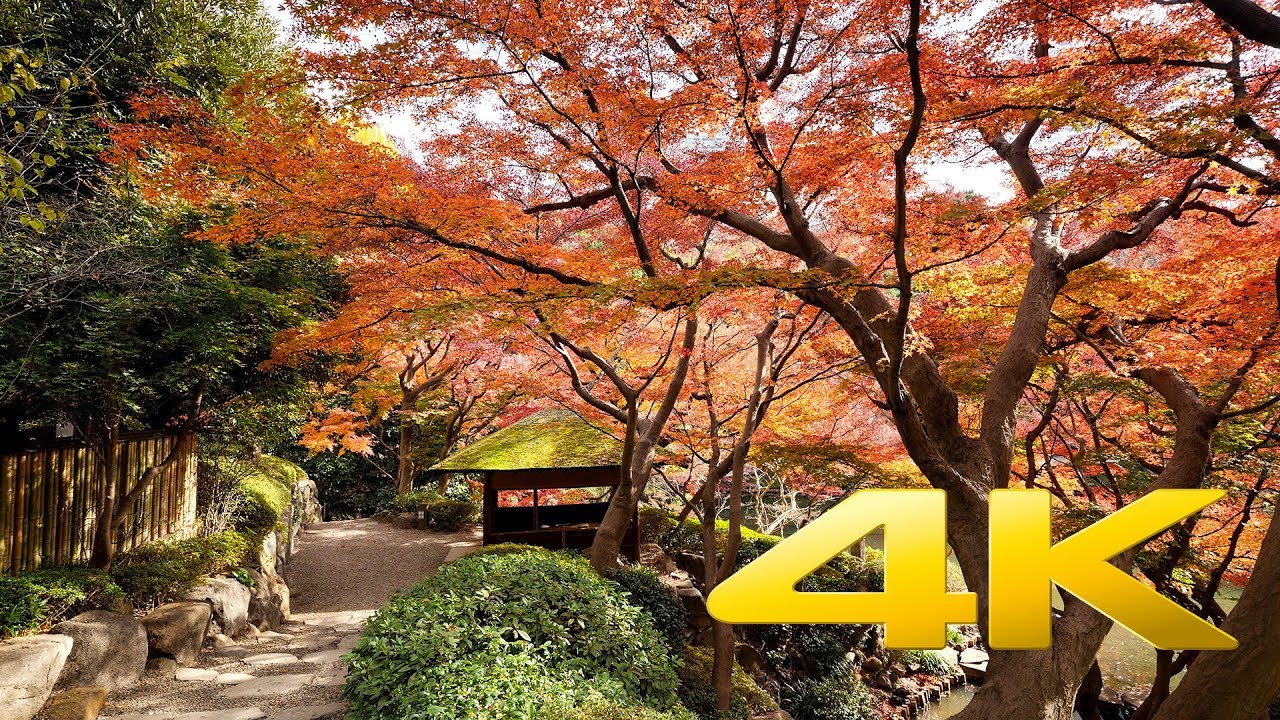 Happo-En Garden - Tokyo - 八芳園 - 4K Ultra HD