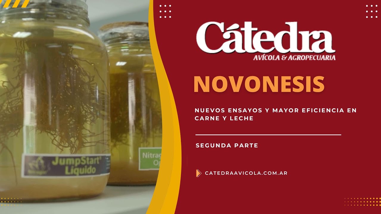 Novonesis: nuevos ensayos y mayor eficiencia en carne y leche