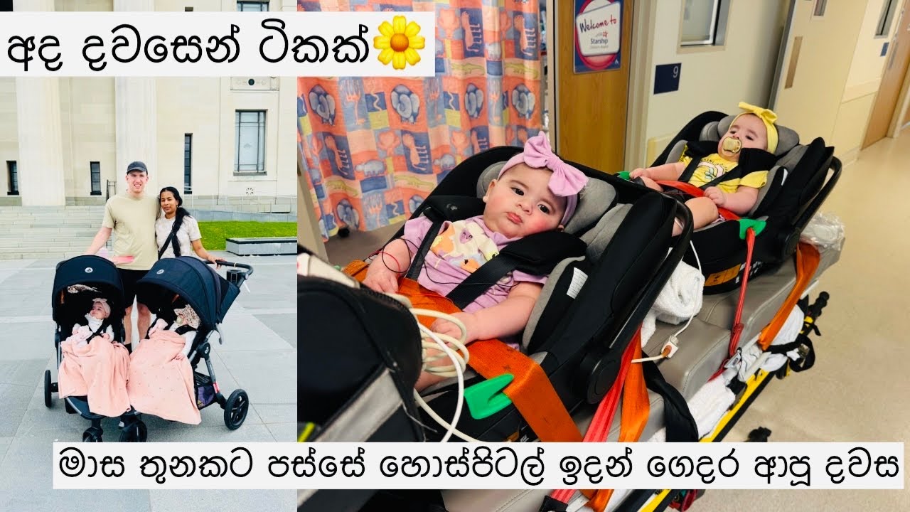 අද දවසෙන් ටිකක්🌼