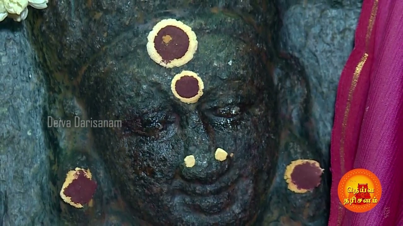 இன்று பிரதோஷ நாளில் திருக்கோவிலூர் வீரட்டேஸ்வரர் தரிசனம் | Thirukovilur Veerateswarar Temple