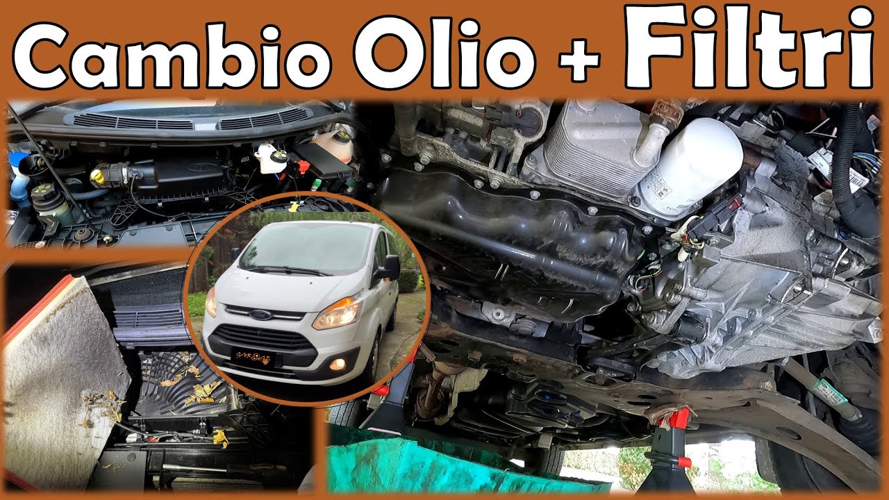 Con la CINGHIA A BAGNO D'OLIO è Fondamentale! - Tagliando Completo a FORD TRANSIT CUSTOM 2.0 EcoBlue