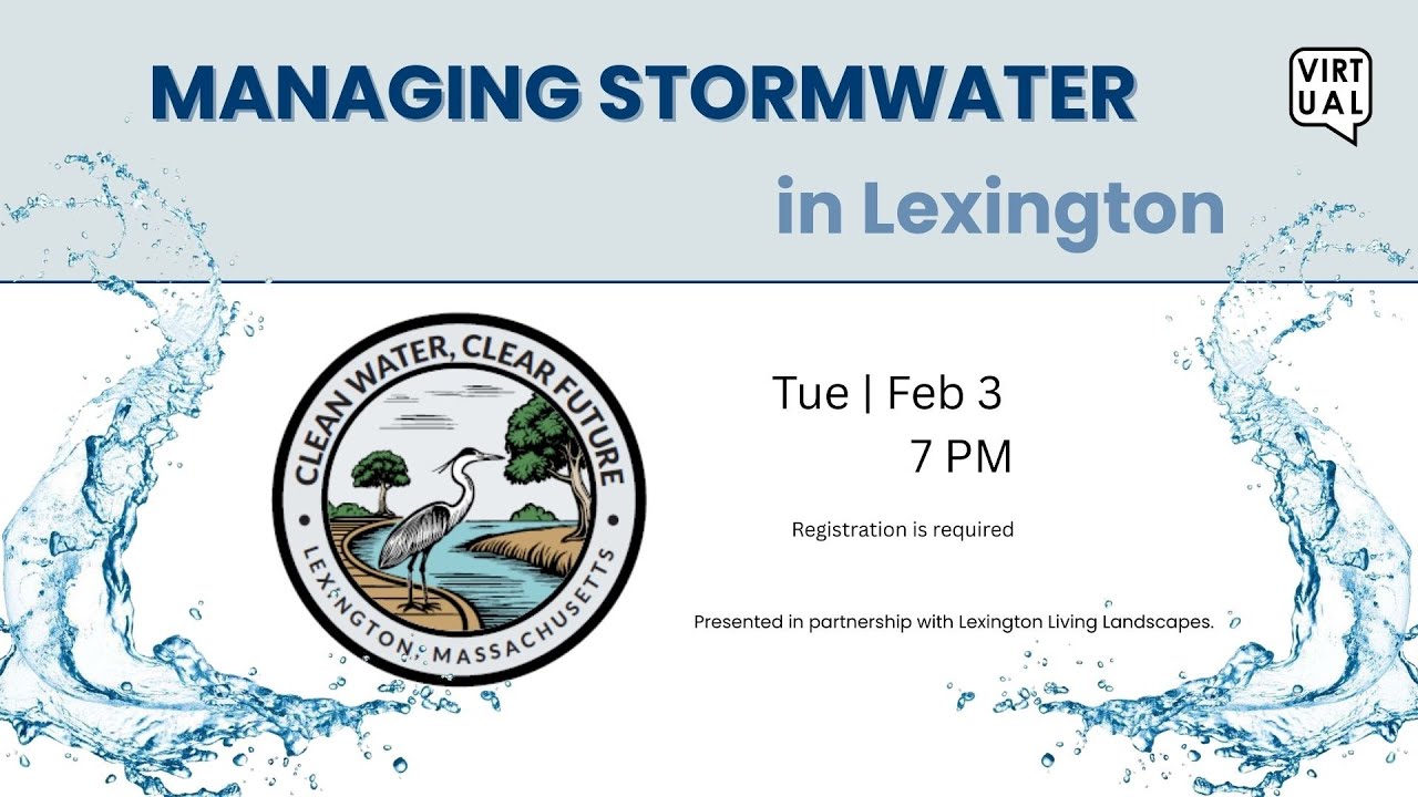 Managing Stormwater in Lexington