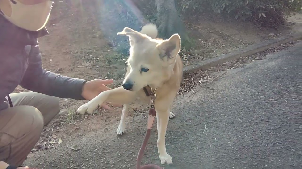 20260117am 陽気につられて走ってみた
