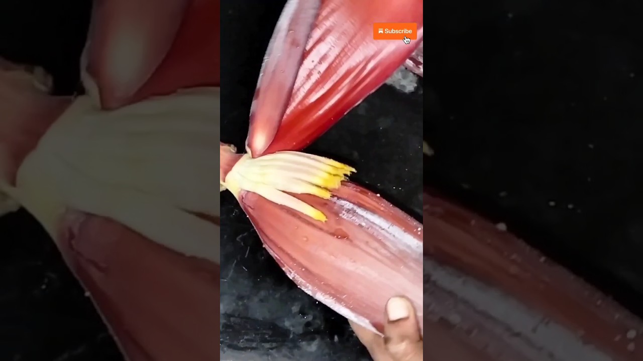 வாழைப்பூ சுலபமா சுத்தம் பண்ண இந்த டிப்ஸ் போதும் | How to clean banana flower#cookingtipsandtricks