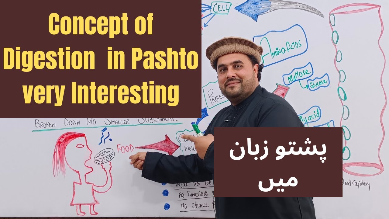 Lecture # 1 | Concept of Digestion | In Pashto Language | LEC : M . SAJJAD KHAN |