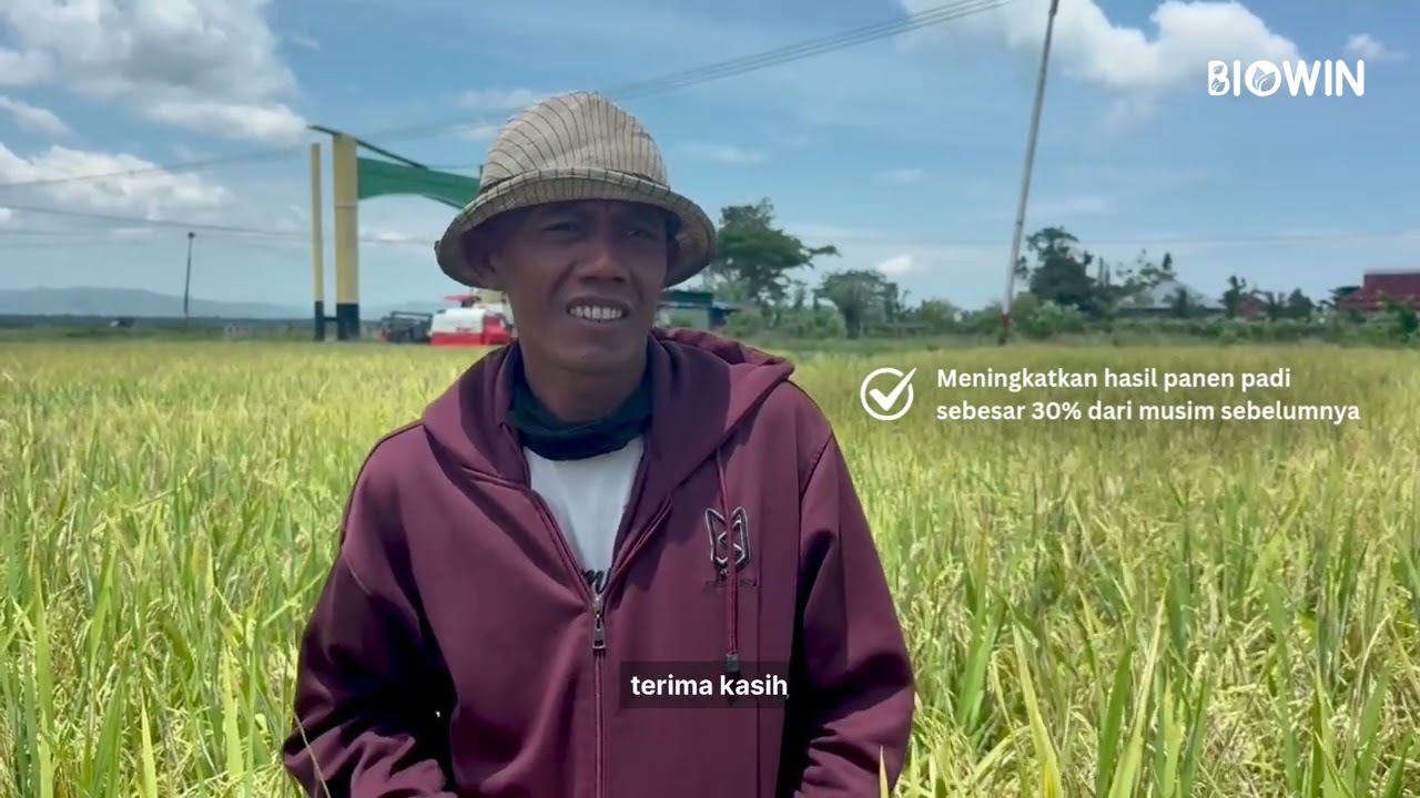 Beri Bukti, Bukan Janji! Panen Padi Melimpah di Pulau Buru Berkat Pupuk Cair Terbaik Biowin!