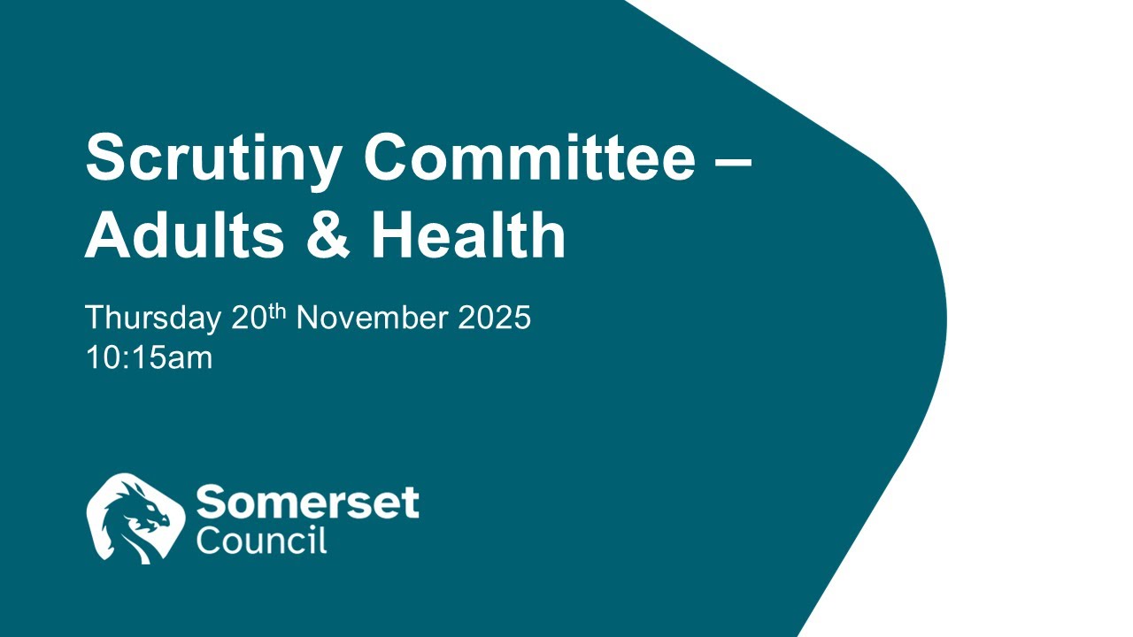 Scrutiny Committee - Adults and Health - 20th November 2025