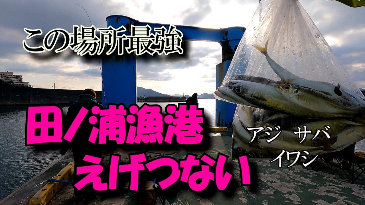 【和歌山釣り】田ノ浦漁港アジ釣り　桟橋えげつない