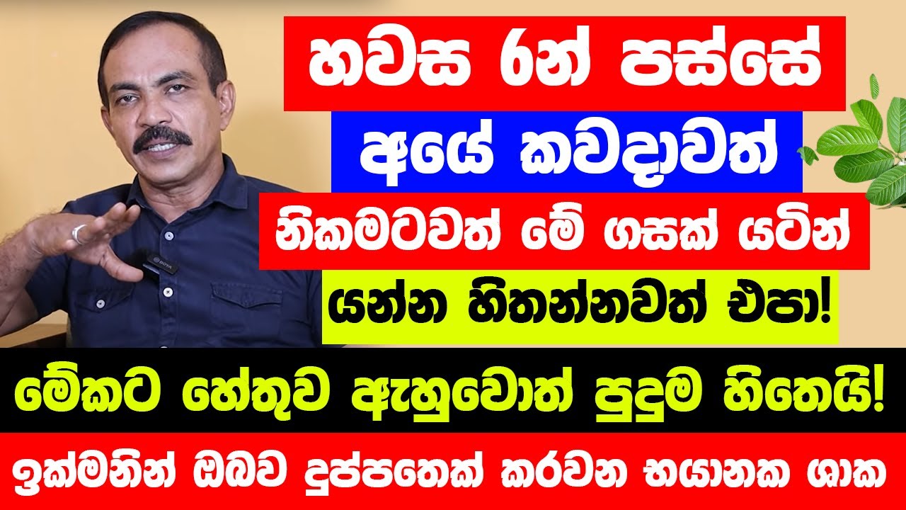 හවස 6න් පස්සේ නිකමටවත් මේ ගසක් යටින් යන්න හිතන්නවත් එපා! - මේකට හේතුව ඇහුවොත් පුදුම හිතෙයි!