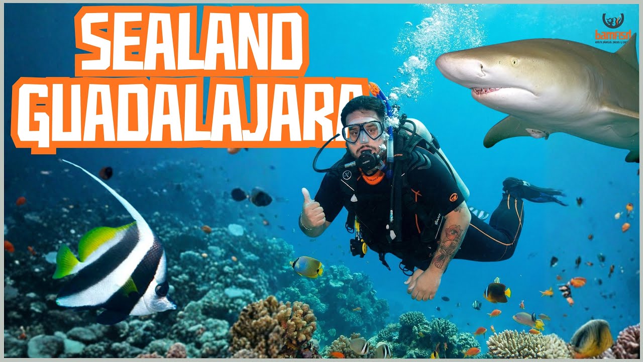 un NUEVO ACUARIO público en GUADALAJARA |  SEALAND
