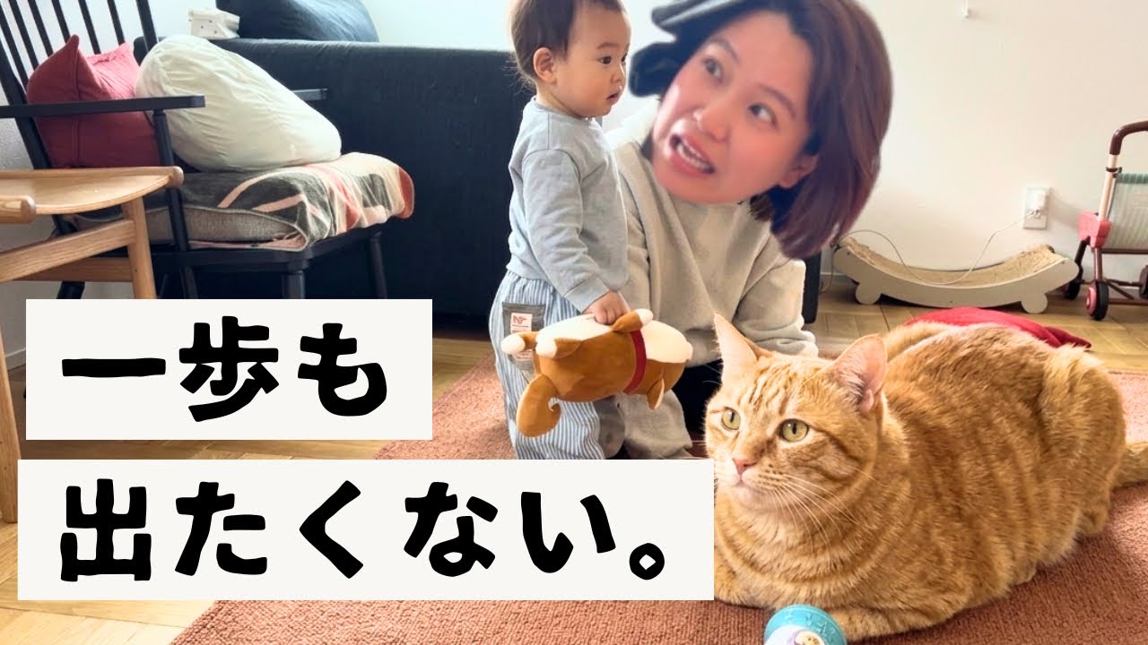 【平日ワンオペ】「一歩も出たくない」限界ママのリアルすぎる1日🐈