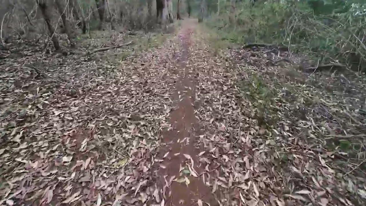 The long (but not super long) (but still pretty lengthy) walk