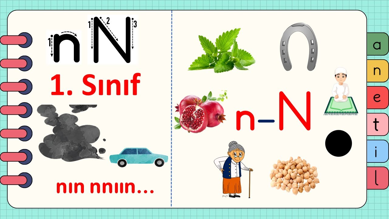 1. Sınıf 