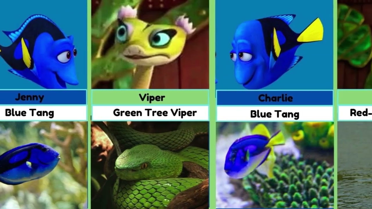 Finding Dory & Kung Fu Panda 3 : Characters vs. Real Life!