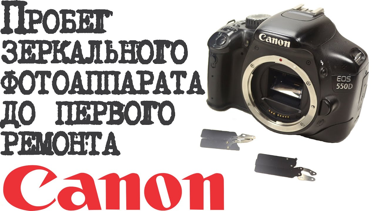 Пробег зеркального фотоаппарата до первого ремонта.