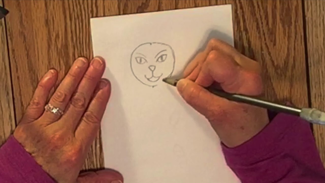 A Way to Draw a Cartoon Cat