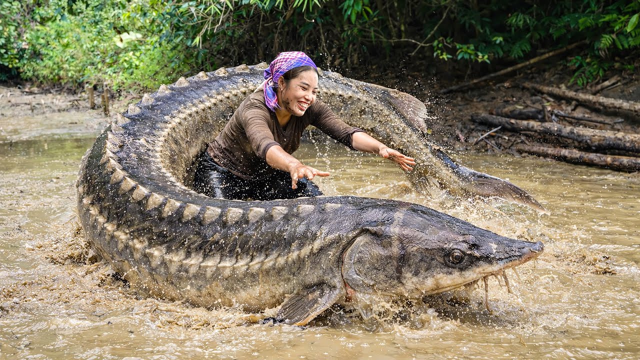 Catching 3000kg+ Giant Carp, Catfish & Tilapia by Hand, Cooking Bamboo Shoot Fish Soup for My Kids