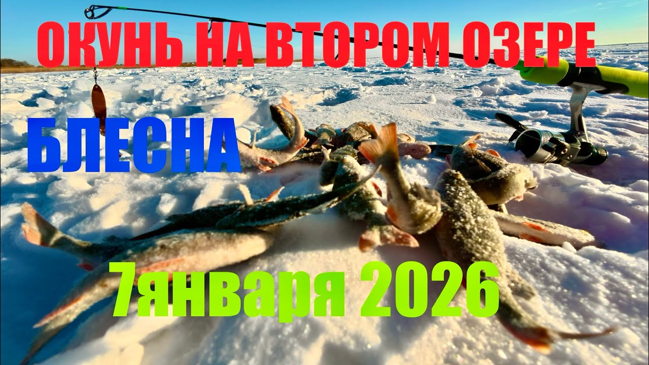 С БЛЕСНОЙ НА ВТОРОМ ОЗЕРЕ. На что клюёт окунь? 