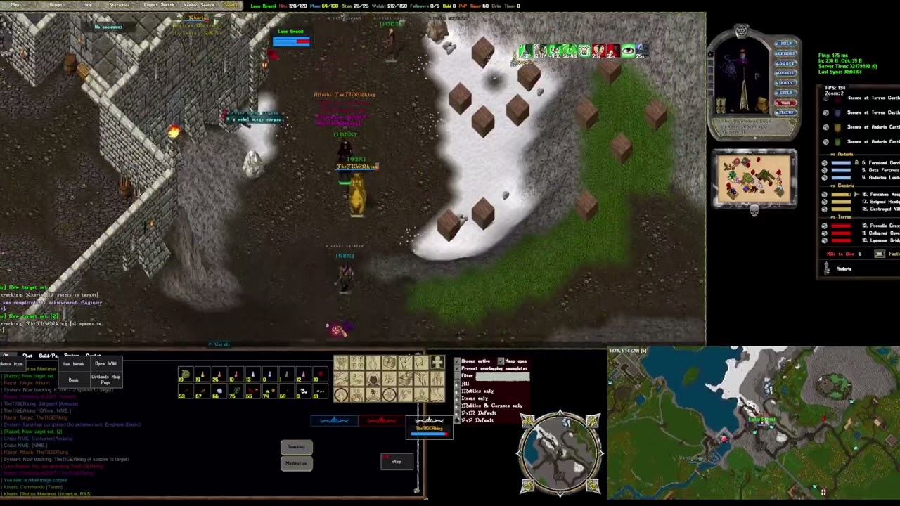Queen Solo PvP #outlands #pvp #ultimaonline