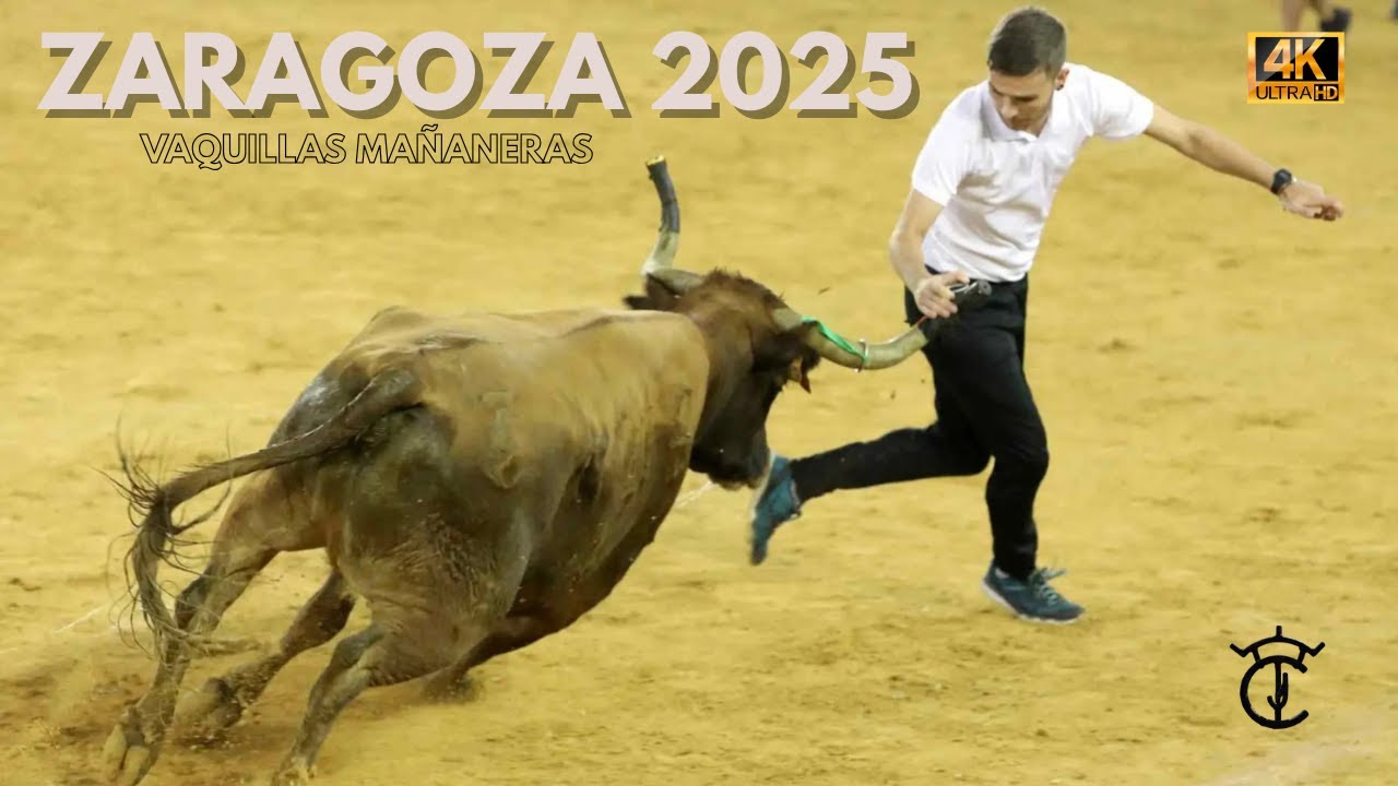 Vaquillas Zaragoza 2025 🐂😱 | Fiestas del Pilar (13 de Octubre)