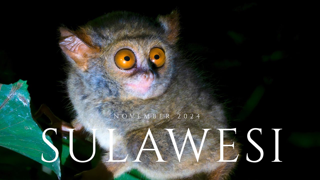 Reise durch Sulawesi - Rundreise durch eine andere Welt. Eine Vorstellung.