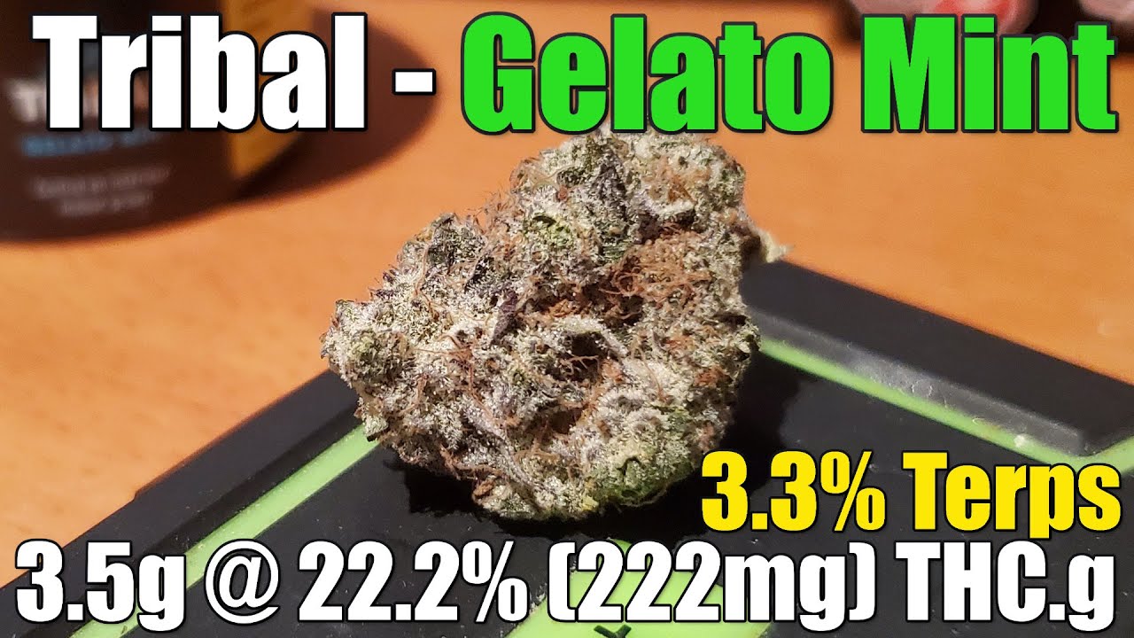 Tribal - Gelato Mint - Unboxing Review - 3.5g @ 22.2% (222mg) THC/g | 3.3% Terps (+Extreme Closeups)