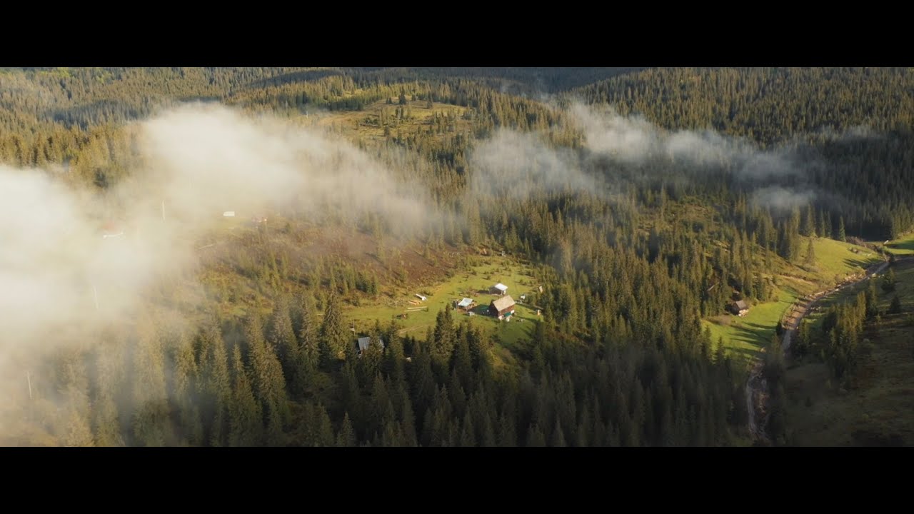 WONDEREST 2021 | Festival Preparations