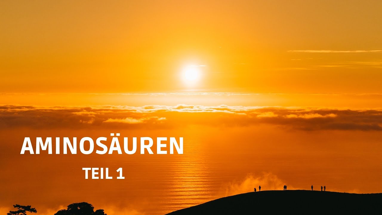 Aminosäuren Teil 1