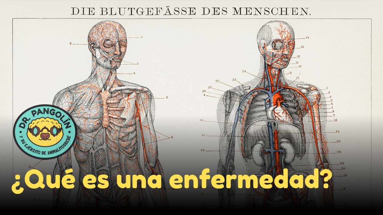 ¿Qué es una enfermedad? - Dr. Pangolín y su Ejército de Animalitosbebé