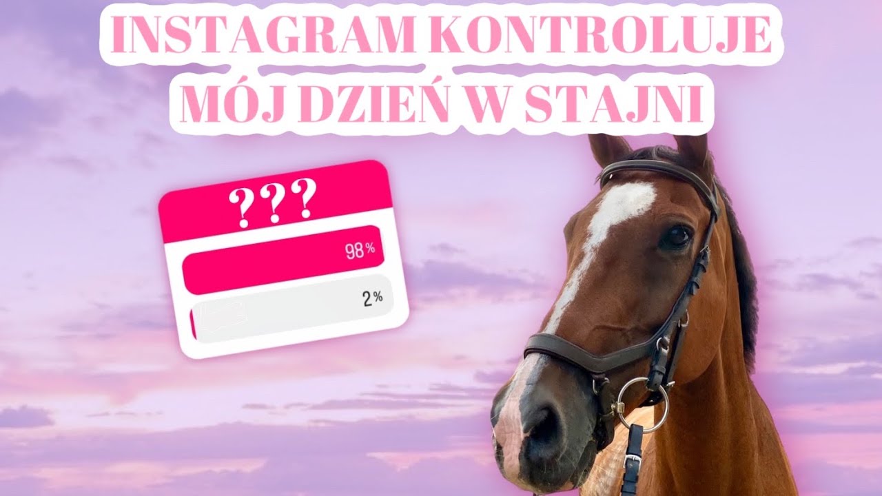 INSTAGRAM KONTROLUJE MÓJ DZIEŃ W STAJNI 🦄